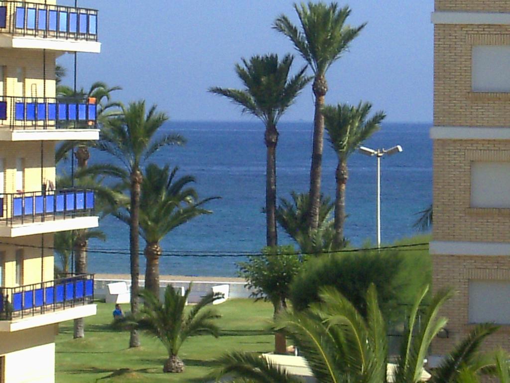 Alondras Playa Denia公寓 外观 照片